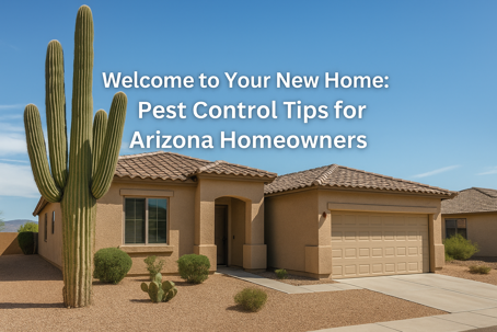 Arizona home exterior with desert landscaping and cactus, illustrating pest control tips for new homeowners in Phoenix and surrounding areas.